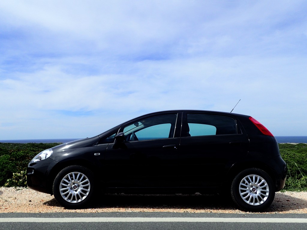 Fifi. Our trusted Fiat.