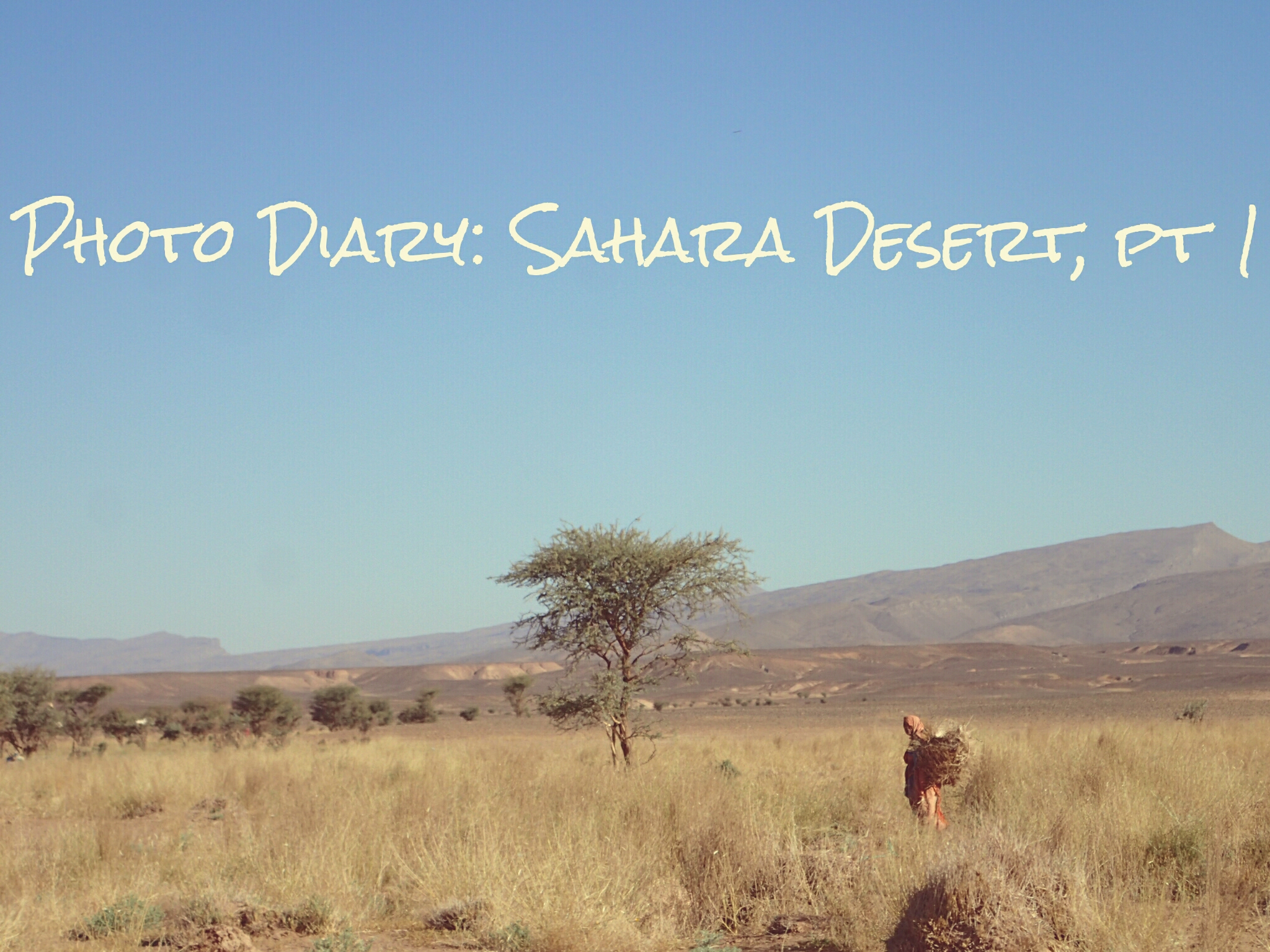 Sahara Photo Diary